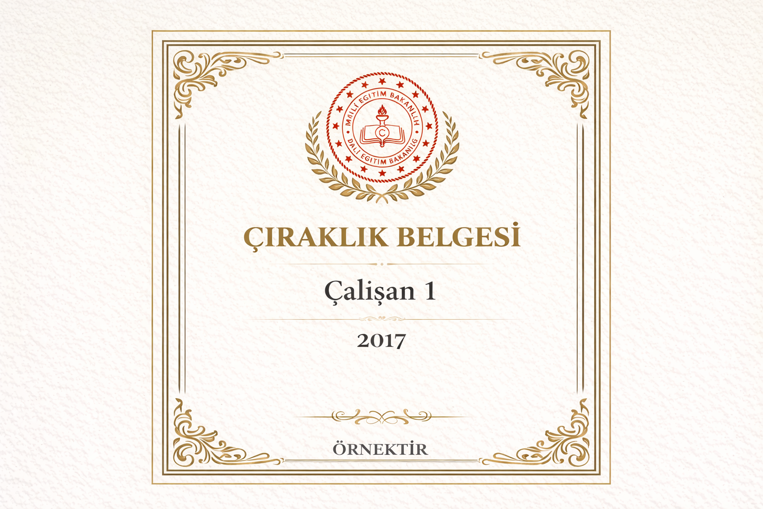 Çıraklık Belgesi (Erkek Kuaförlüğü)